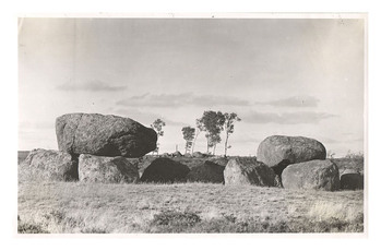 Fotograf: Hickstein, Carmen, Copyright: 1