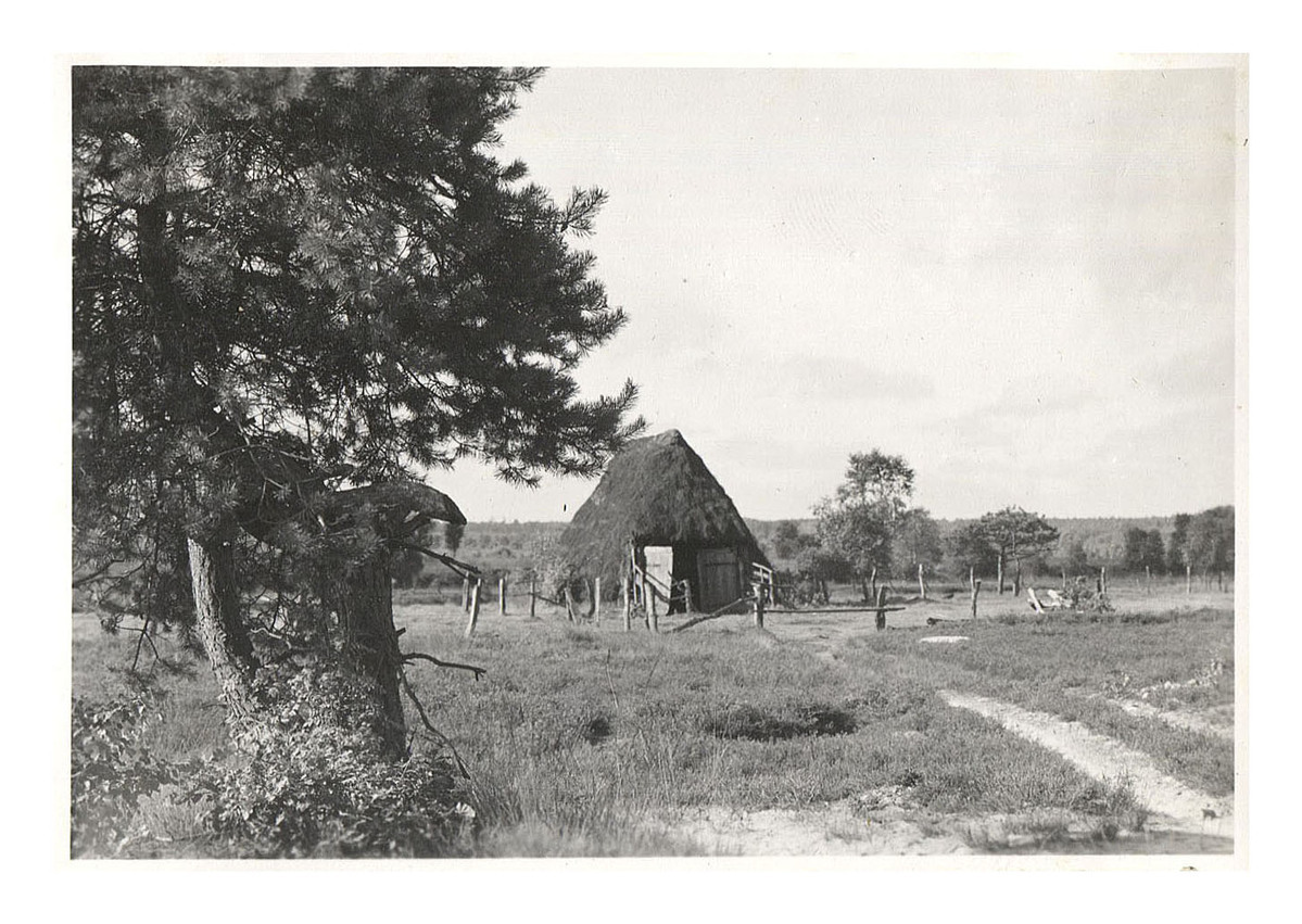 Fotograf: Hickstein, Carmen, Copyright: 1