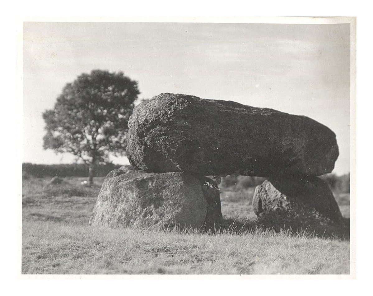 Fotograf: Hickstein, Carmen, Copyright: 1