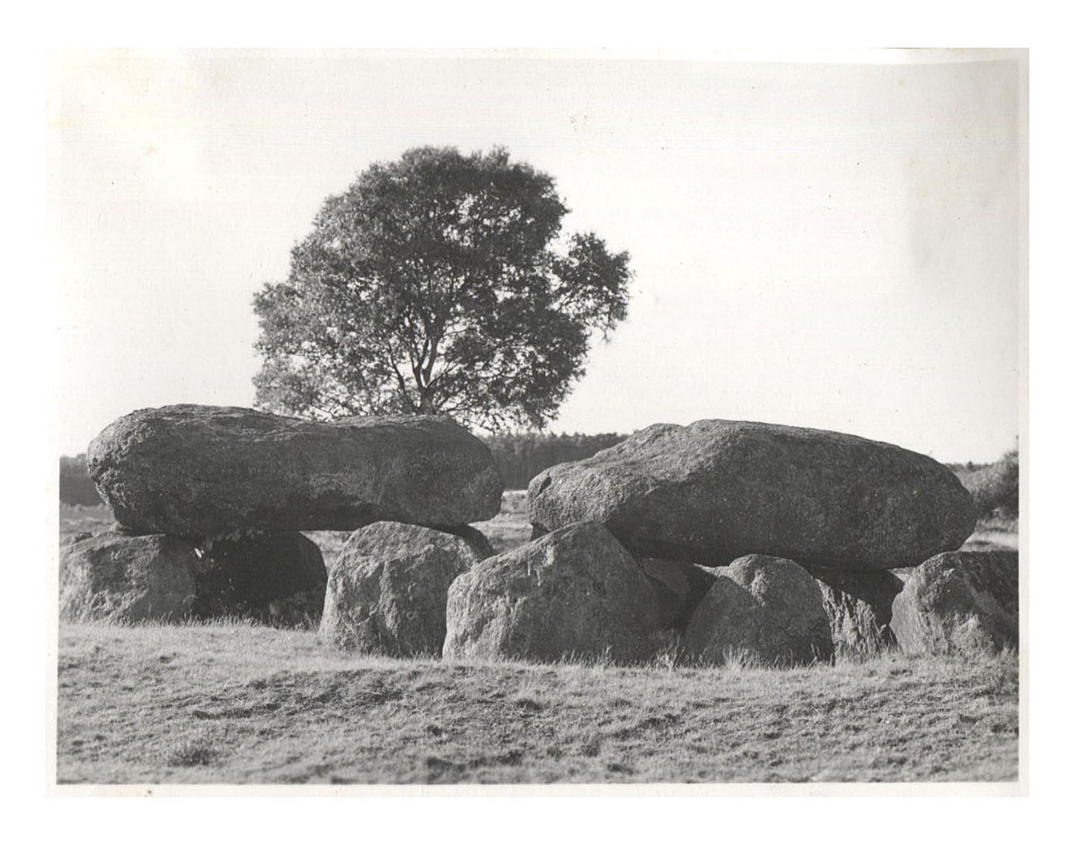 Fotograf: Hickstein, Carmen, Copyright: 1