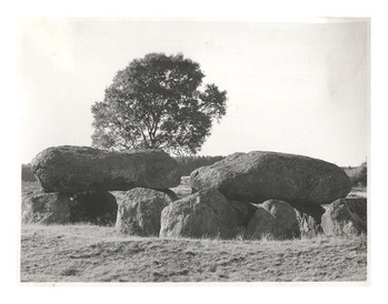 Fotograf: Hickstein, Carmen, Copyright: 1