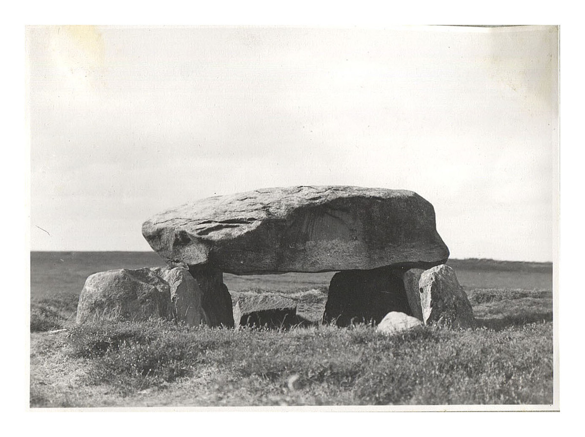 Fotograf: Hickstein, Carmen, Copyright: 1