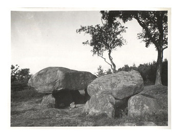 Fotograf: Hickstein, Carmen, Copyright: 1