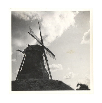 Fotograf: Hickstein, Carmen, Copyright: 1