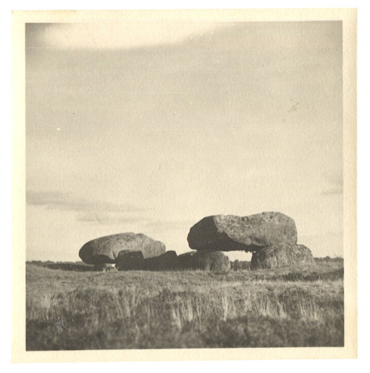 Fotograf: Hickstein, Carmen, Copyright: 1