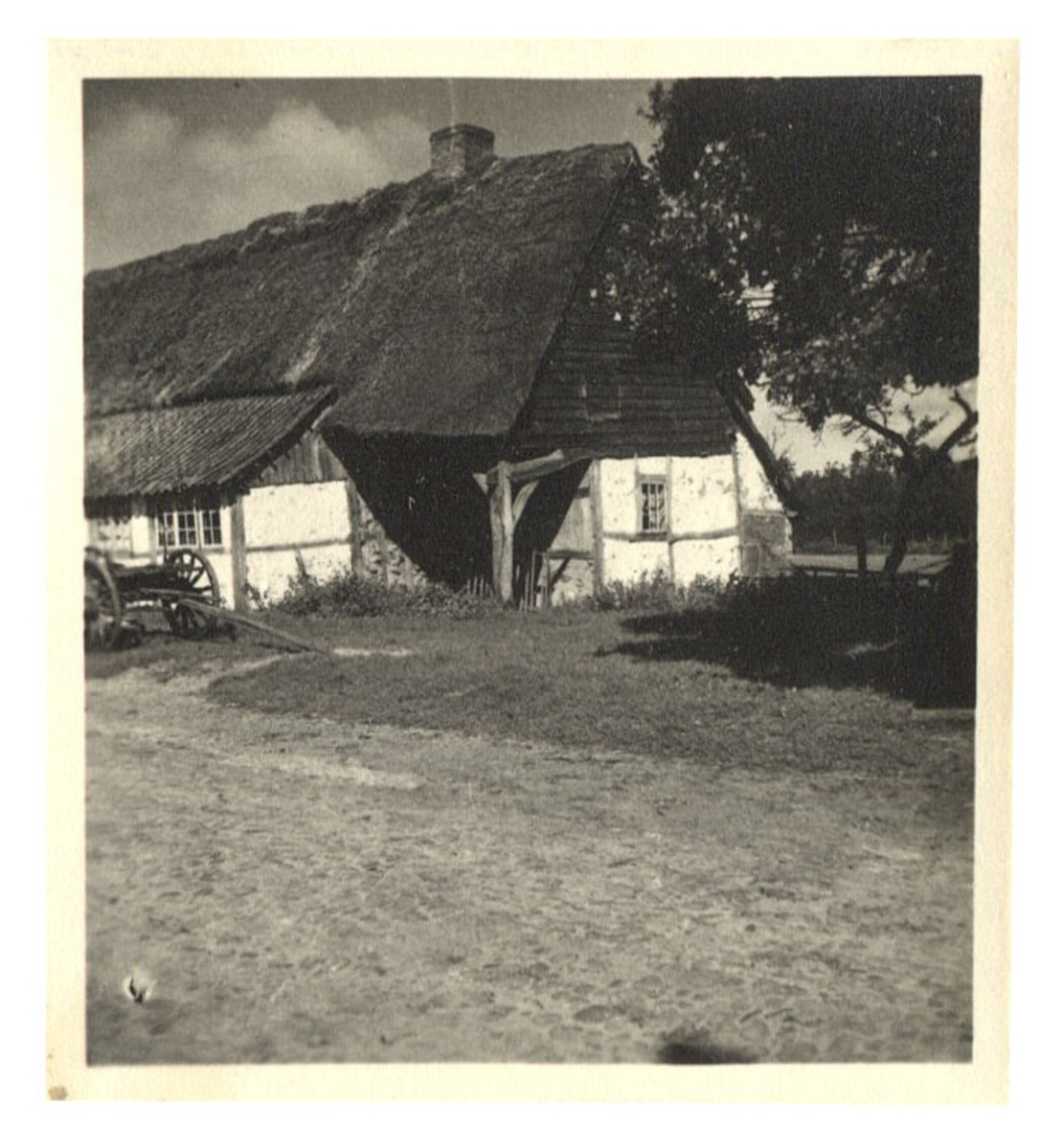 Fotograf: Hickstein, Carmen, Copyright: 1