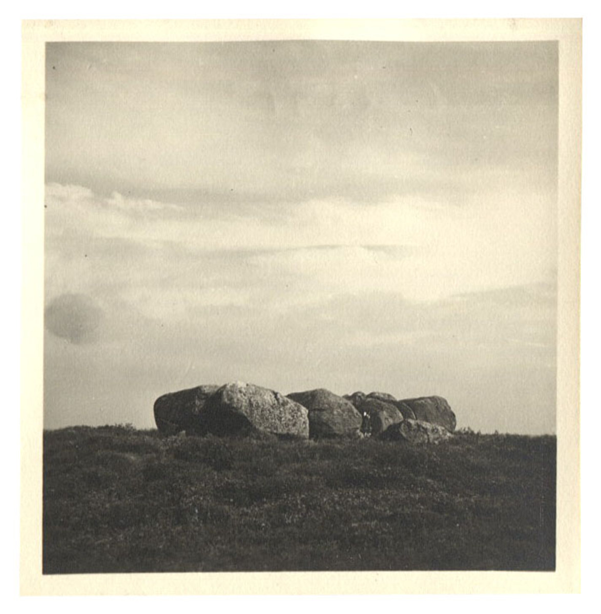 Fotograf: Hickstein, Carmen, Copyright: 1