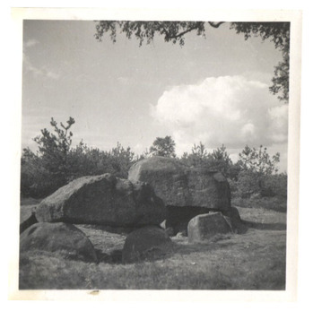 Fotograf: Hickstein, Carmen, Copyright: 1