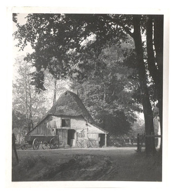 Fotograf: Hickstein, Carmen, Copyright: 1