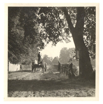 Fotograf: Hickstein, Carmen, Copyright: 1