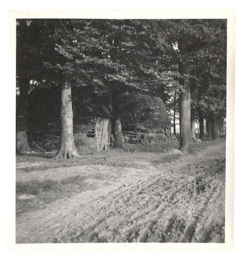 Fotograf: Hickstein, Carmen, Copyright: 1