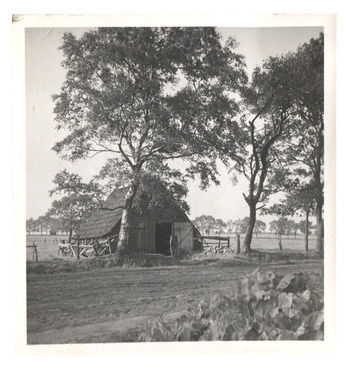 Fotograf: Hickstein, Carmen, Copyright: 1