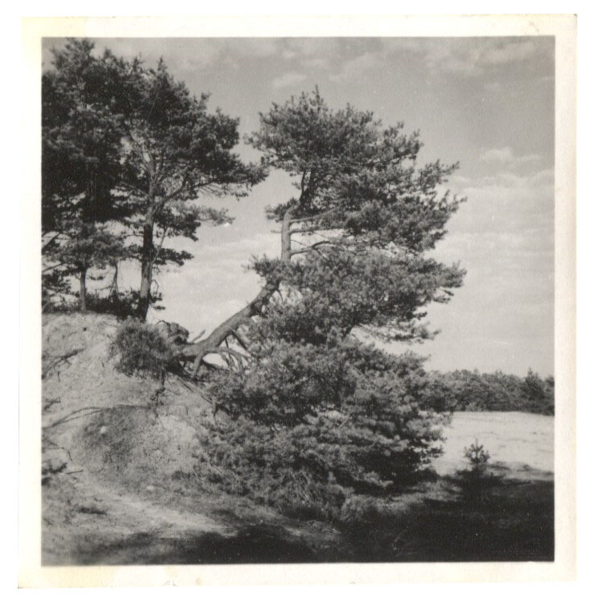 Fotograf: Hickstein, Carmen, Copyright: 1