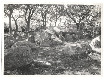 Fotograf: Hickstein, Carmen, Copyright: 1