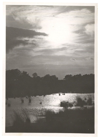 Fotograf: Hickstein, Carmen, Copyright: 1