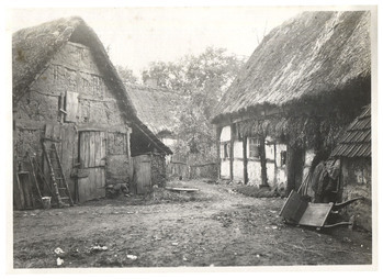 Fotograf: Hickstein, Carmen, Copyright: 1