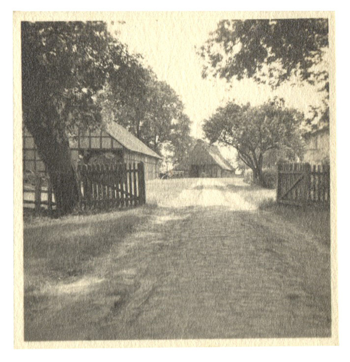 Fotograf: Hickstein, Carmen, Copyright: 1