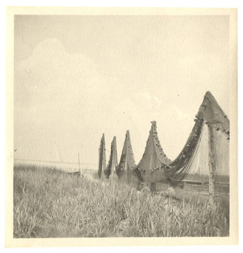 Fotograf: Hickstein, Carmen, Copyright: 1