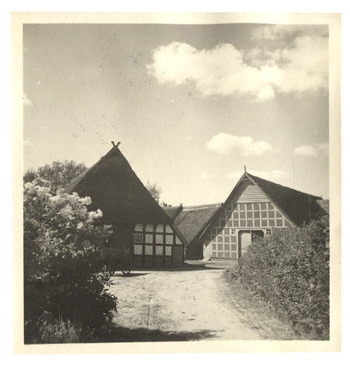 Fotograf: Hickstein, Carmen, Copyright: 1