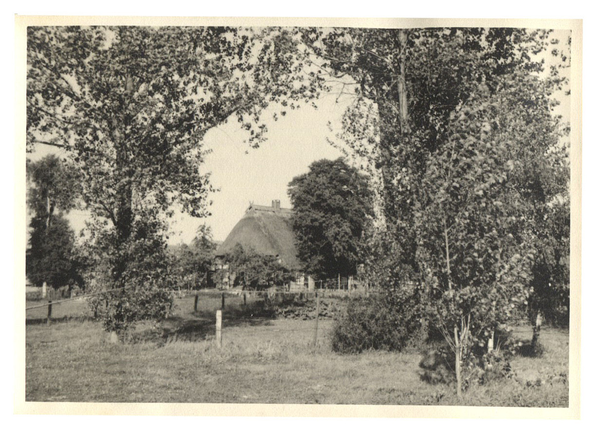 Fotograf: Hickstein, Carmen, Copyright: 1