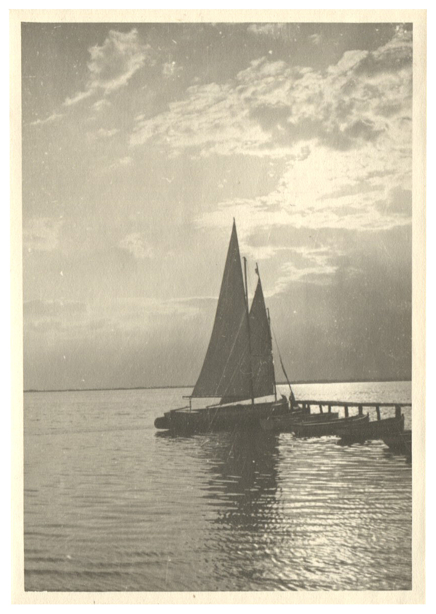 Fotograf: Hickstein, Carmen, Copyright: 1