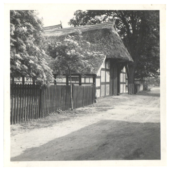 Fotograf: Hickstein, Carmen, Copyright: 1