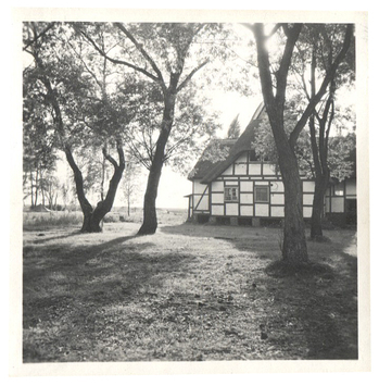 Fotograf: Hickstein, Carmen, Copyright: 1