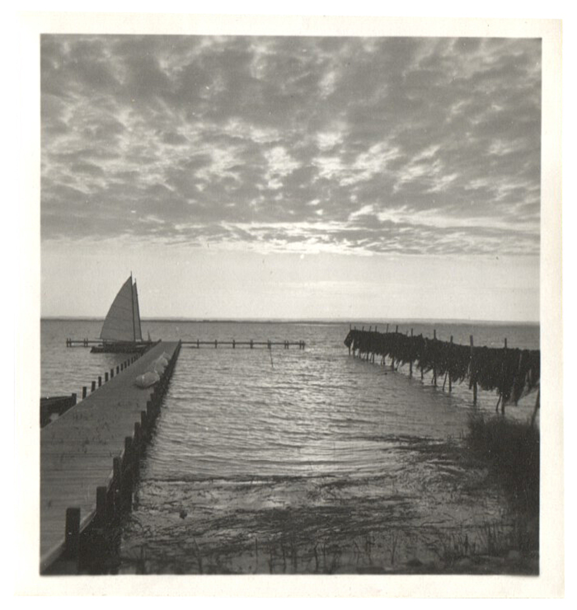 Fotograf: Hickstein, Carmen, Copyright: 1