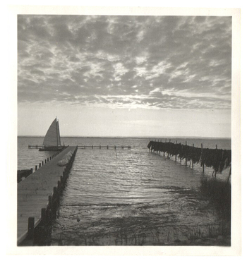 Fotograf: Hickstein, Carmen, Copyright: 1