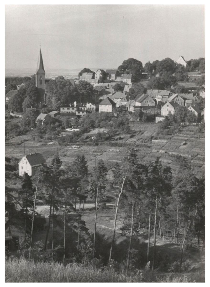 Fotograf: Hickstein, Carmen, Copyright: 1