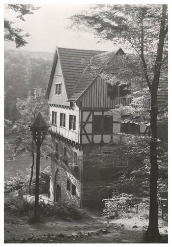 Fotograf: Hickstein, Carmen, Copyright: 1