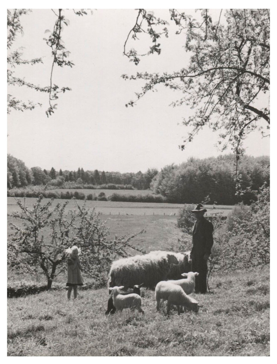 Fotograf: Hickstein, Carmen, Copyright: 1