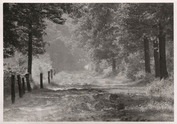 Fotograf: Hickstein, Carmen, Copyright: 1