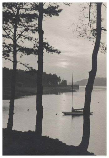 Fotograf: Hickstein, Carmen, Copyright: 1