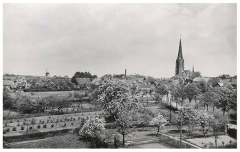 Fotograf: Hickstein, Carmen, Copyright: 1