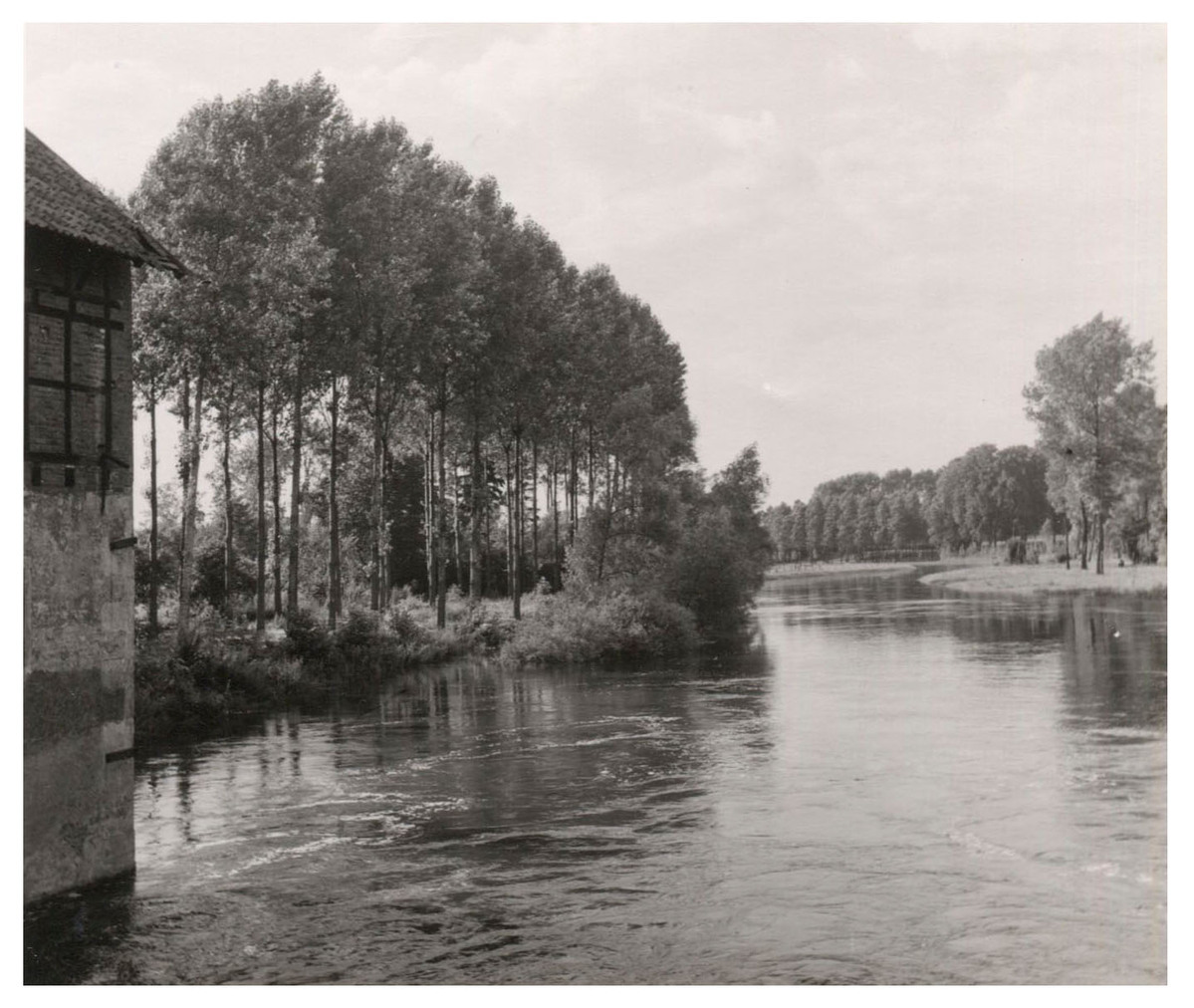 Fotograf: Hickstein, Carmen, Copyright: 1