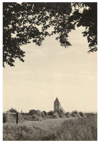 Fotograf: Hickstein, Carmen, Copyright: 1