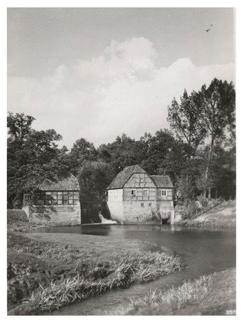 Fotograf: Hickstein, Carmen, Copyright: 1