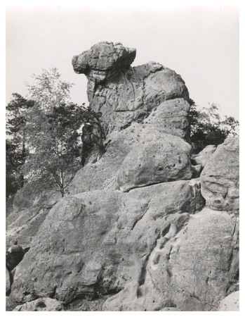 Fotograf: Hickstein, Carmen, Copyright: 1