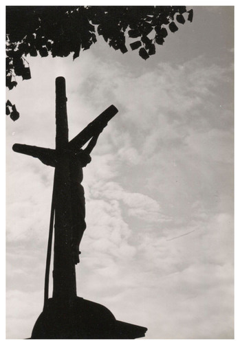 Fotograf: Hickstein, Carmen, Copyright: 1