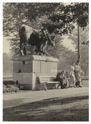 Fotograf: Hickstein, Carmen, Copyright: 1