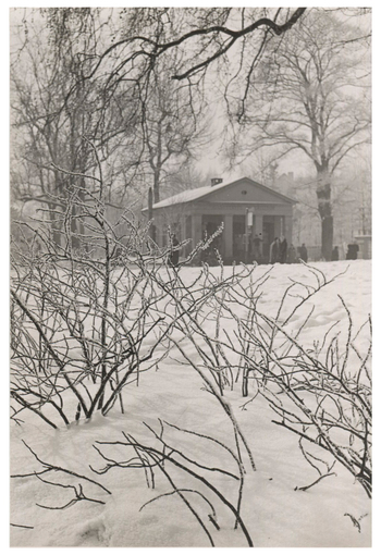 Fotograf: Hickstein, Carmen, Copyright: 1