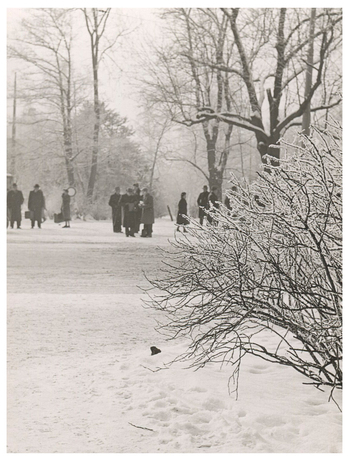 Fotograf: Hickstein, Carmen, Copyright: 1