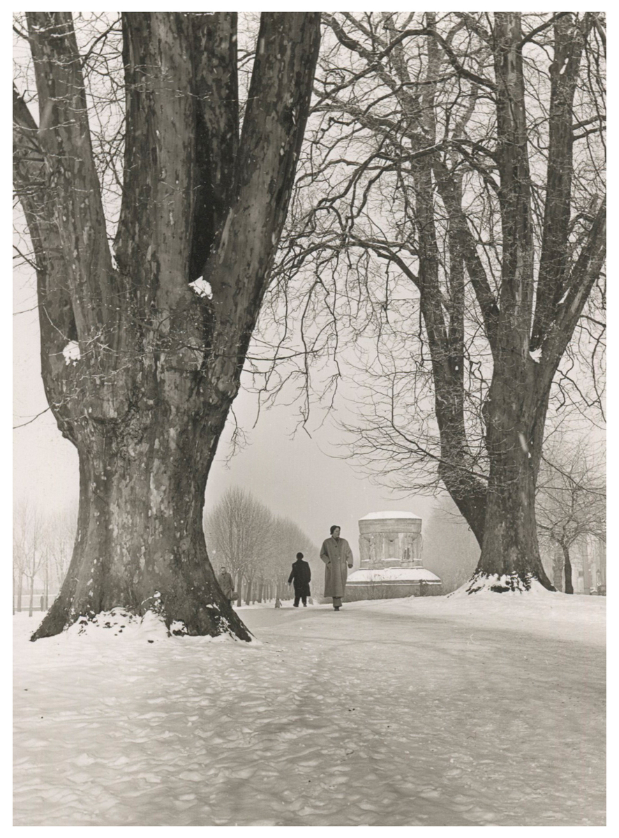 Fotograf: Hickstein, Carmen, Copyright: 1