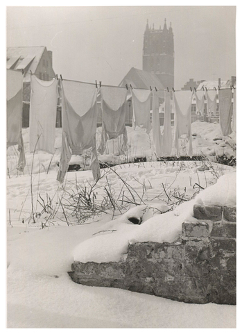 Fotograf: Hickstein, Carmen, Copyright: 1