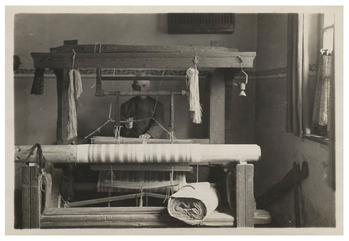 Fotograf: Hickstein, Carmen, Copyright: 1