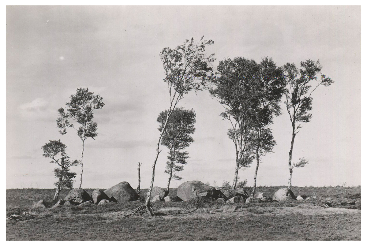 Fotograf: Hickstein, Carmen, Copyright: 1