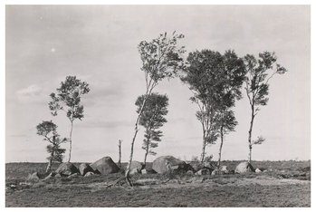 Fotograf: Hickstein, Carmen, Copyright: 1