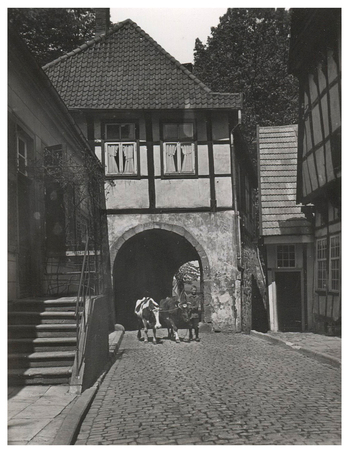 Fotograf: Hickstein, Carmen, Copyright: 1