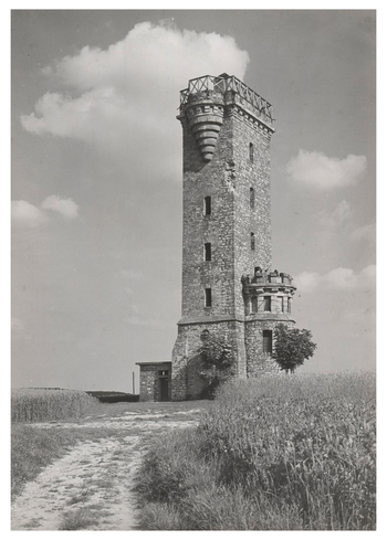 Fotograf: Hickstein, Carmen, Copyright: 1